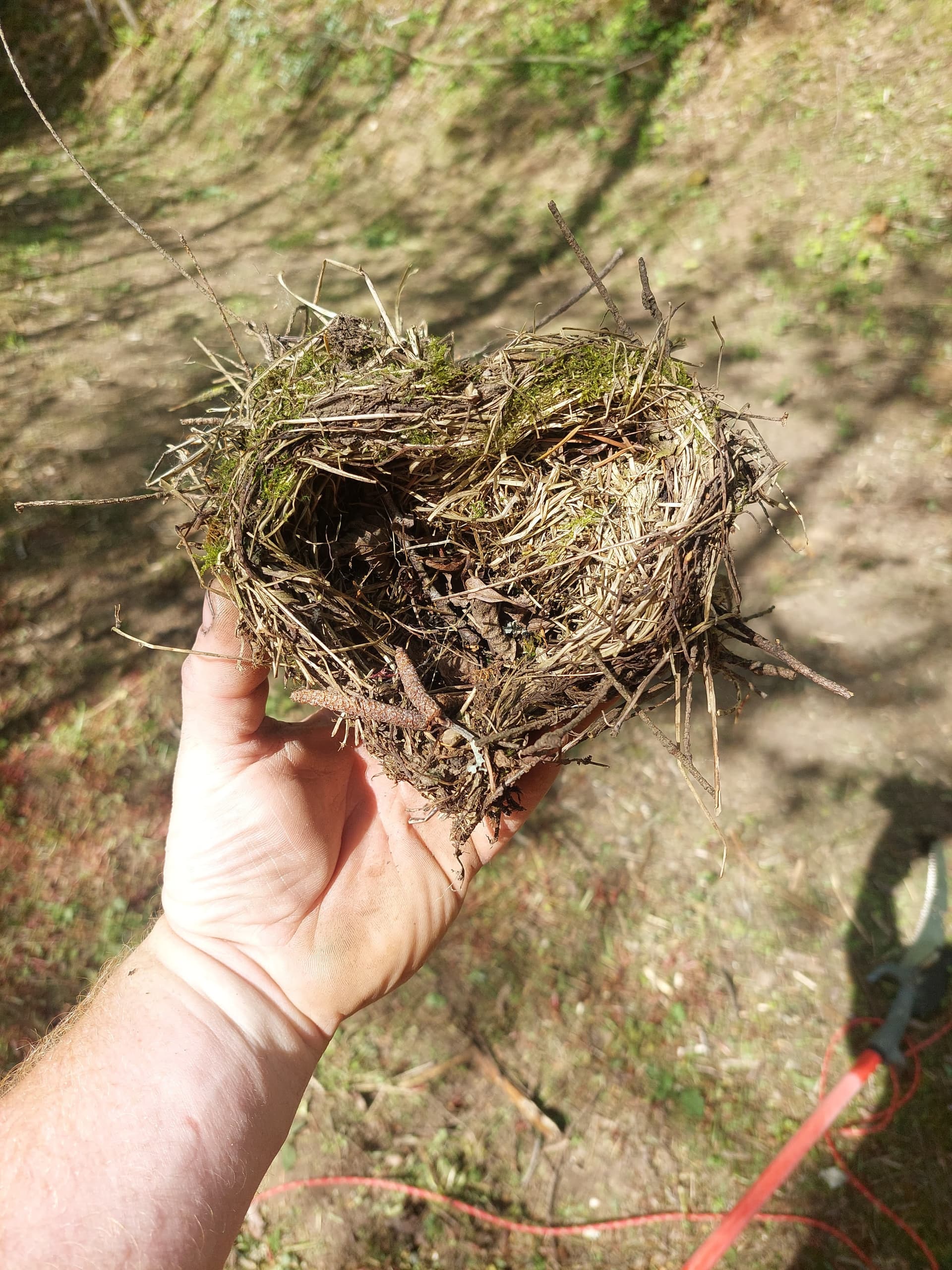 Installation of drainage structures during restoration