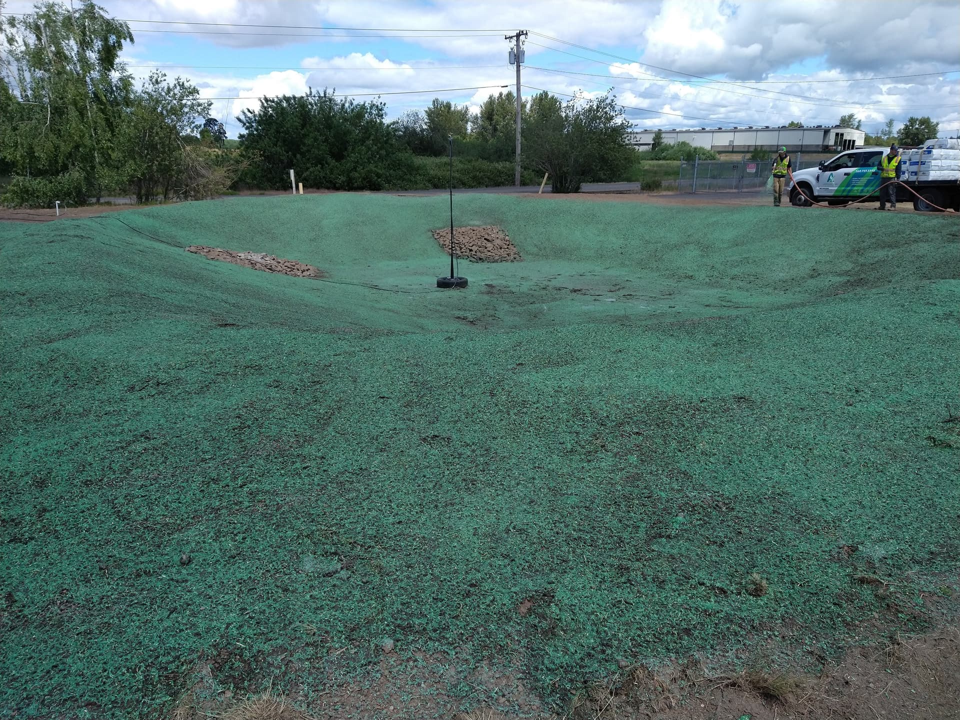 Completed hydroseeded basin with green stabilization