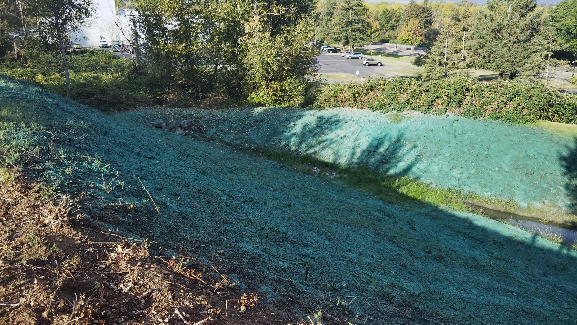 Large slope area with applied hydroseeding for erosion control