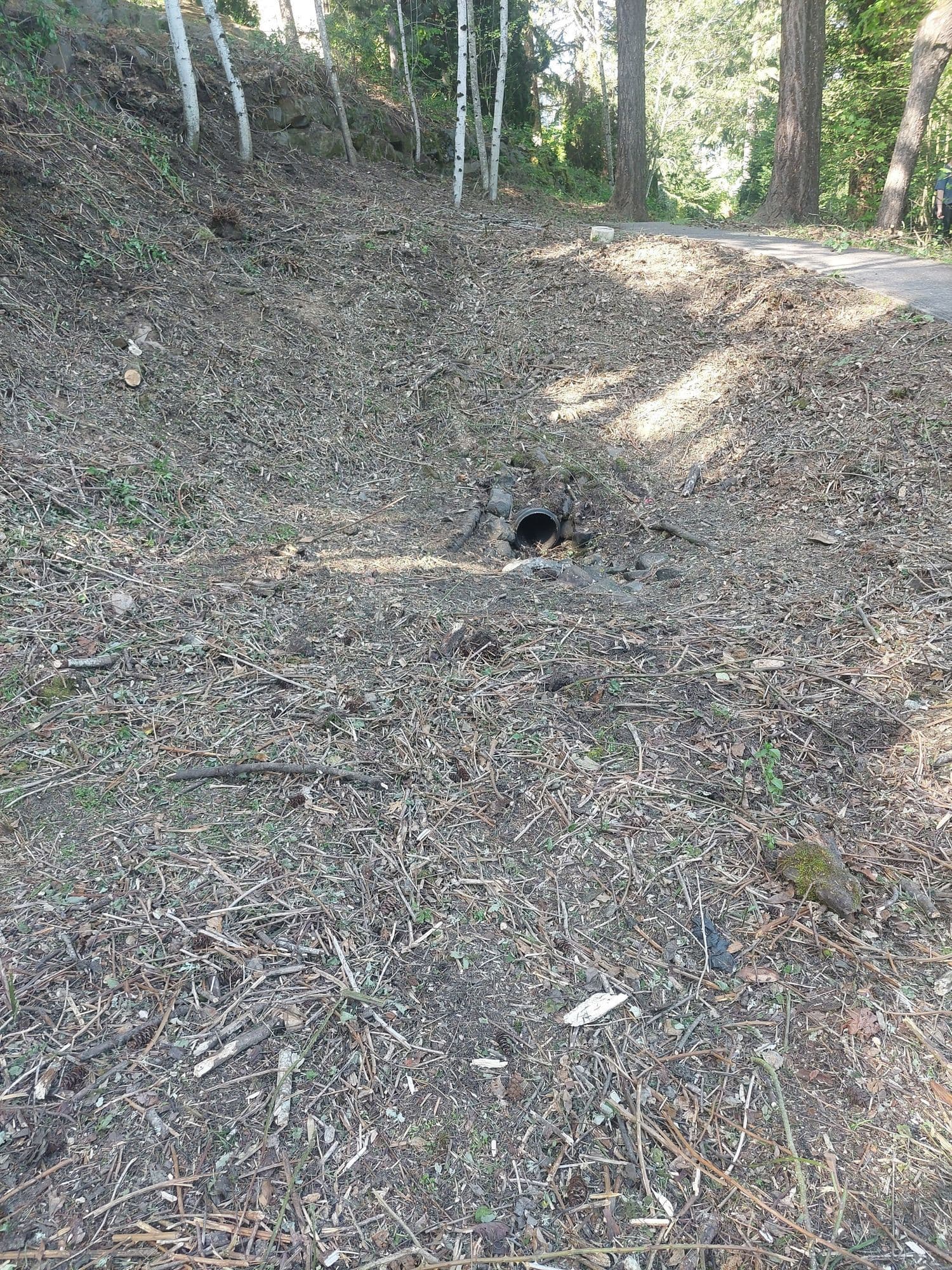 Early stage of swale restoration process