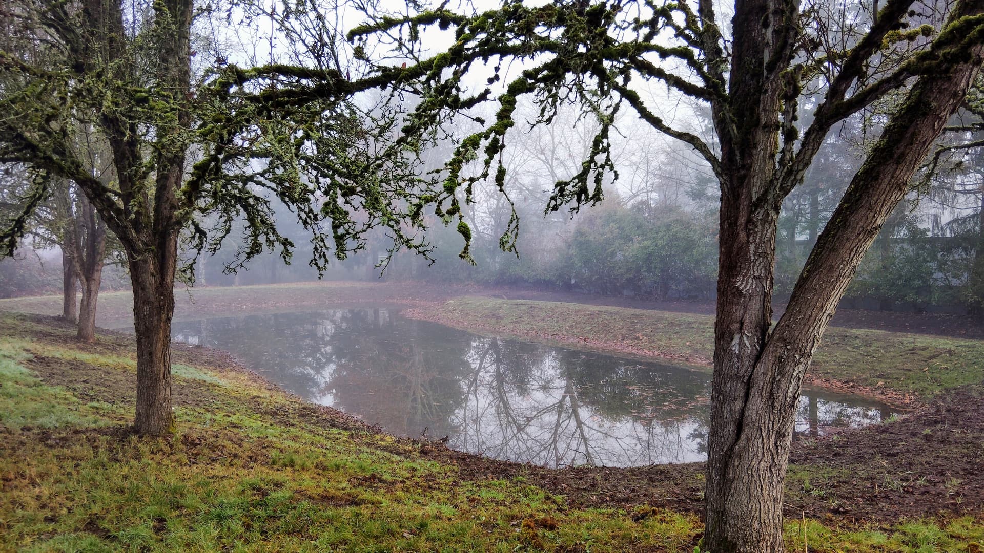 Annual Maintenance Plan