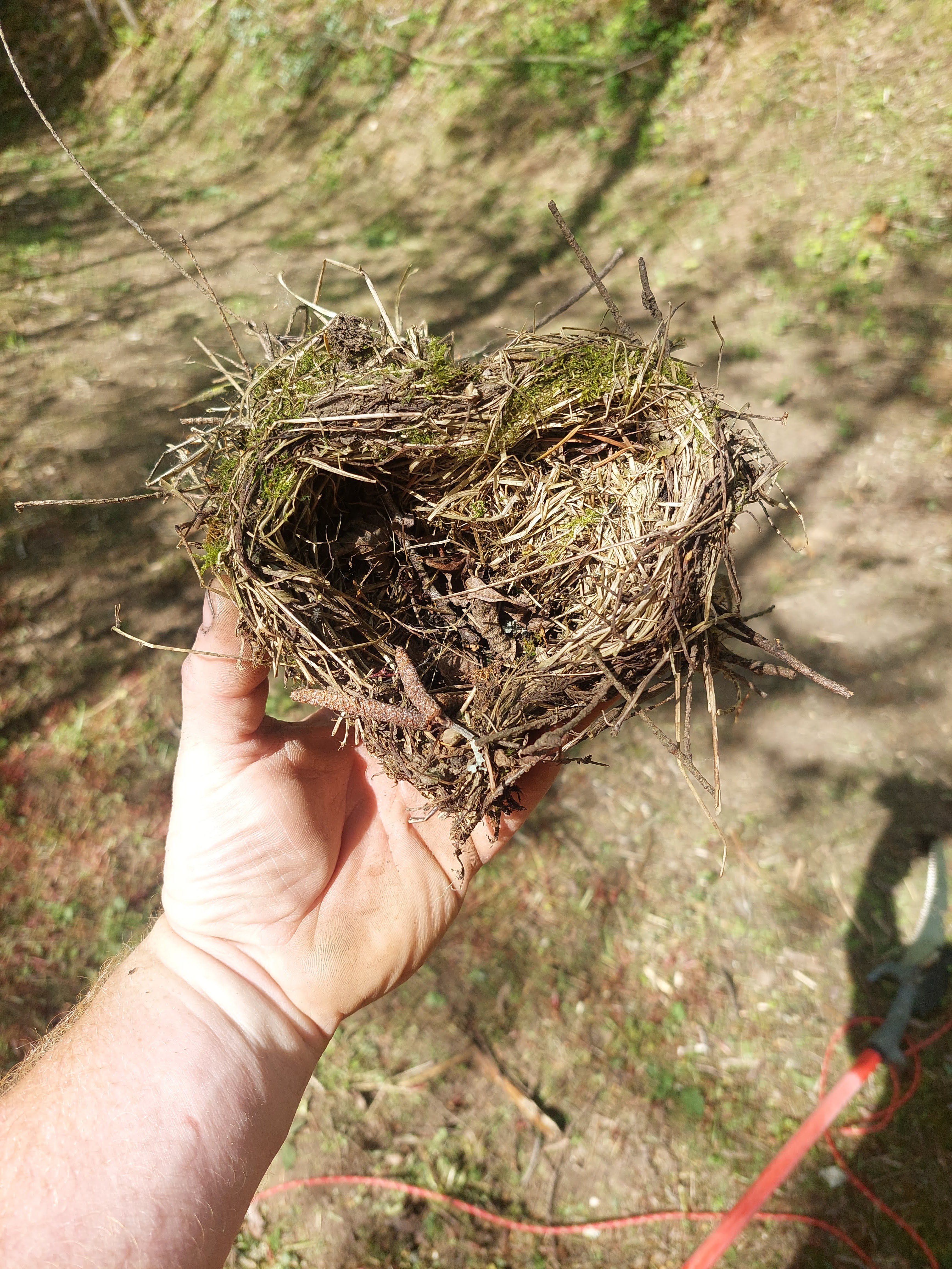 Installation of drainage structures during restoration