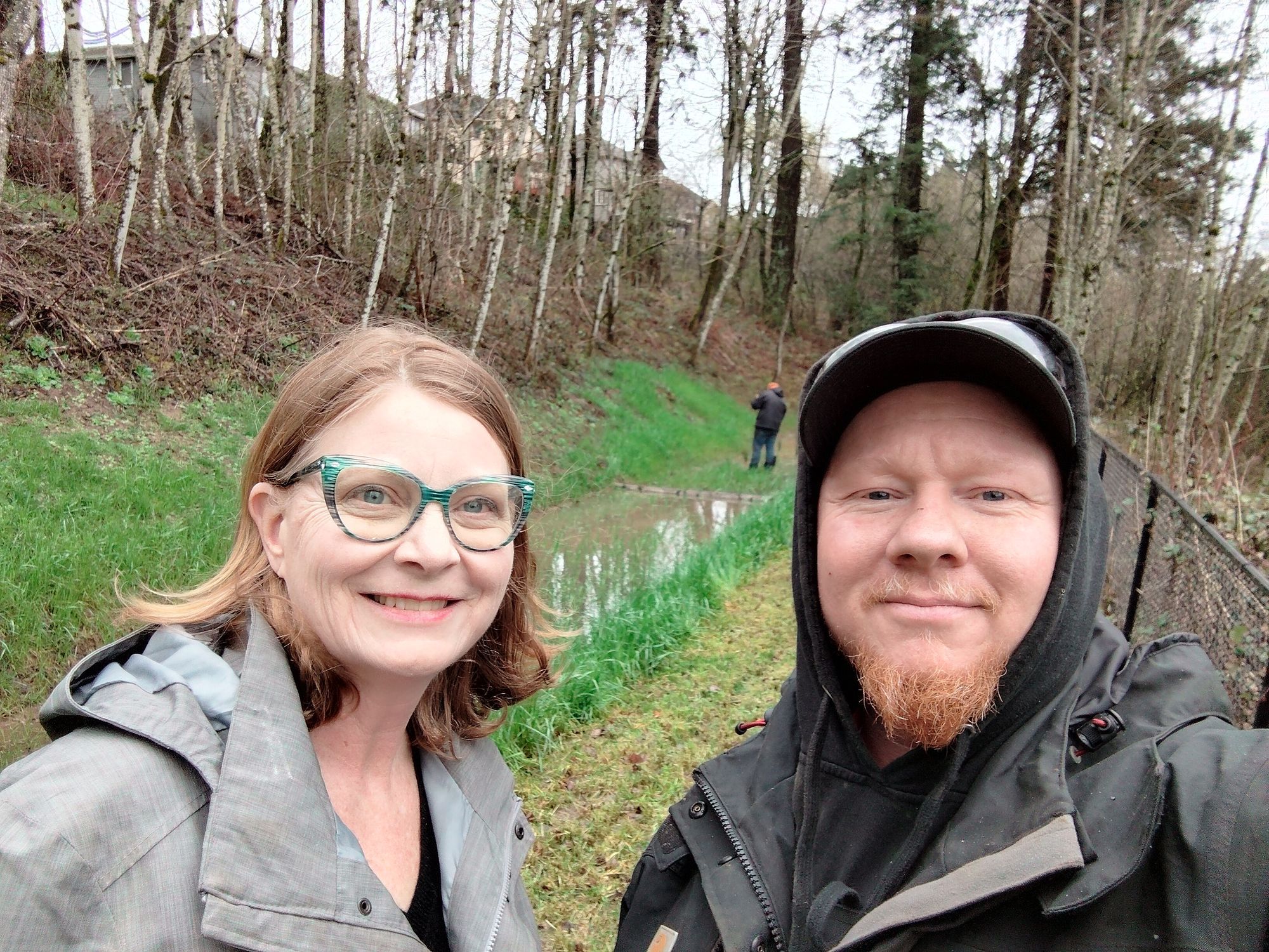 Native plants installed along swale edge